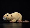 LightningStore Beaver Dolls Realistic Looking Stuffed Animal Plush Toys Plushie Children's Gifts Animals