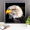 Bald Eagle Framed Photo Poster Wall Art Decoration Decor For Bedroom Living Room