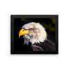 Bald Eagle Framed Photo Poster Wall Art Decoration Decor For Bedroom Living Room