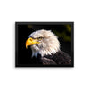 Bald Eagle Framed Photo Poster Wall Art Decoration Decor For Bedroom Living Room