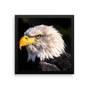 Bald Eagle Framed Photo Poster Wall Art Decoration Decor For Bedroom Living Room