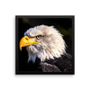 Bald Eagle Framed Photo Poster Wall Art Decoration Decor For Bedroom Living Room