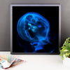 Blue Black JellyFish Framed Photo Poster Wall Art Decoration Decor For Bedroom Living Room