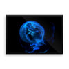 Blue Black JellyFish Framed Photo Poster Wall Art Decoration Decor For Bedroom Living Room