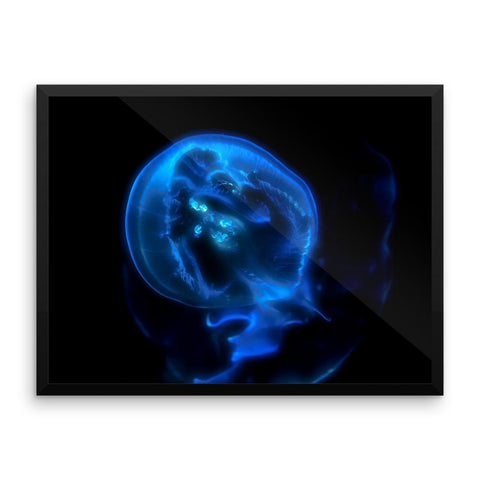 Blue Black JellyFish Framed Photo Poster Wall Art Decoration Decor For Bedroom Living Room