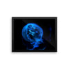 Blue Black JellyFish Framed Photo Poster Wall Art Decoration Decor For Bedroom Living Room