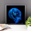 Blue Black JellyFish Framed Photo Poster Wall Art Decoration Decor For Bedroom Living Room