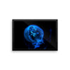 Blue Black JellyFish Framed Photo Poster Wall Art Decoration Decor For Bedroom Living Room