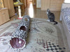 Cat Tunnel Leopard Print With Walking Sound