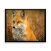 Fox Framed Photo Poster Wall Art Decoration Decor For Bedroom Living Room