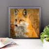 Fox Framed Photo Poster Wall Art Decoration Decor For Bedroom Living Room