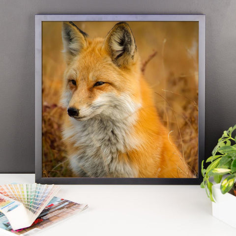 Fox Framed Photo Poster Wall Art Decoration Decor For Bedroom Living Room