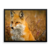 Fox Framed Photo Poster Wall Art Decoration Decor For Bedroom Living Room