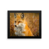 Fox Framed Photo Poster Wall Art Decoration Decor For Bedroom Living Room