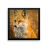Fox Framed Photo Poster Wall Art Decoration Decor For Bedroom Living Room