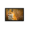 Fox Framed Photo Poster Wall Art Decoration Decor For Bedroom Living Room