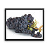 Grapes Framed Photo Poster Wall Art Decoration Decor For Bedroom Living Room