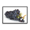 Grapes Framed Photo Poster Wall Art Decoration Decor For Bedroom Living Room