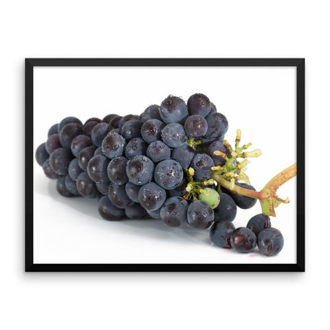 Grapes Framed Photo Poster Wall Art Decoration Decor For Bedroom Living Room