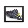Grapes Framed Photo Poster Wall Art Decoration Decor For Bedroom Living Room