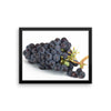 Grapes Framed Photo Poster Wall Art Decoration Decor For Bedroom Living Room