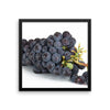 Grapes Framed Photo Poster Wall Art Decoration Decor For Bedroom Living Room