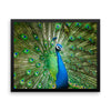 Green Peacock Framed Photo Poster Wall Art Decoration Decor For Bedroom Living Room