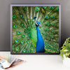 Green Peacock Framed Photo Poster Wall Art Decoration Decor For Bedroom Living Room
