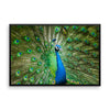 Green Peacock Framed Photo Poster Wall Art Decoration Decor For Bedroom Living Room