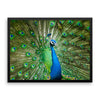 Green Peacock Framed Photo Poster Wall Art Decoration Decor For Bedroom Living Room