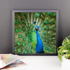 Green Peacock Framed Photo Poster Wall Art Decoration Decor For Bedroom Living Room