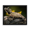Iguana Framed Photo Poster Wall Art Decoration Decor For Bedroom Living Room