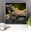 Iguana Framed Photo Poster Wall Art Decoration Decor For Bedroom Living Room