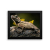Iguana Framed Photo Poster Wall Art Decoration Decor For Bedroom Living Room