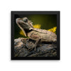 Iguana Framed Photo Poster Wall Art Decoration Decor For Bedroom Living Room