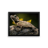 Iguana Framed Photo Poster Wall Art Decoration Decor For Bedroom Living Room