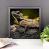 Iguana Framed Photo Poster Wall Art Decoration Decor For Bedroom Living Room