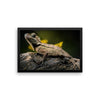 Iguana Framed Photo Poster Wall Art Decoration Decor For Bedroom Living Room