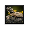 Iguana Framed Photo Poster Wall Art Decoration Decor For Bedroom Living Room