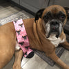 Custom Dog Socks, Personalized Pet Photo Socks, Customized Cute Dog Face Socks, Dog Lover Gift, Funny Dog Socks, Pet Socks, Dog Mom Gift