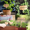 20 pieces Set, Plant Markers, Plant Label, Garden Stakes, Herb Marker, Bamboo Garden Markers, Wooden Markers, Plant Tags, Bulk Succulent Tag
