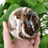Coffee Opal Spheres, Chocolate Sphere, Small Black Sphere Black Opal Sphere, Black Opal Crystal, Crystal Ball, Black Opal Spiritual