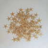 Starfish for Decoration Decor, Tiny Small Starfish, Seashells, Shells, Beach Decor, Craft Shells, Craft Starfish, Home Living Room Decor