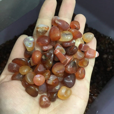 Red Agate Tumble Stones, Natural Red Agate Crystal, Bulk Gems, Bulk Crystals, Crystals for Grids & Reiki Work, Gemini Birthstone