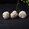 Raw Desert Rose Selenite - Selenite Rose Cluster - Healing Crystals & Stones - Natural Selenite Crystal - Rough Gypsum Desert Rose Cluster