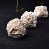 Raw Desert Rose Selenite - Selenite Rose Cluster - Healing Crystals & Stones - Natural Selenite Crystal - Rough Gypsum Desert Rose Cluster