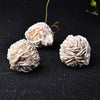 Raw Desert Rose Selenite - Selenite Rose Cluster - Healing Crystals & Stones - Natural Selenite Crystal - Rough Gypsum Desert Rose Cluster