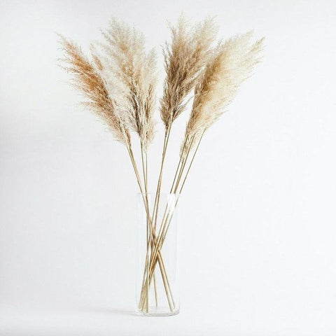Dried Pampas, Reed Flower Bunch, Grass, Wedding Decor, Bouquet, Natural Plants, Boho Bohemian Home Decor, Flower Arrangement, Feather