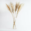 Dried Pampas, Reed Flower Bunch, Grass, Wedding Decor, Bouquet, Natural Plants, Boho Bohemian Home Decor, Flower Arrangement, Feather