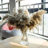 Dried Pampas, Reed Flower Bunch, Grass, Wedding Decor, Bouquet, Natural Plants, Boho Bohemian Home Decor, Flower Arrangement, Feather